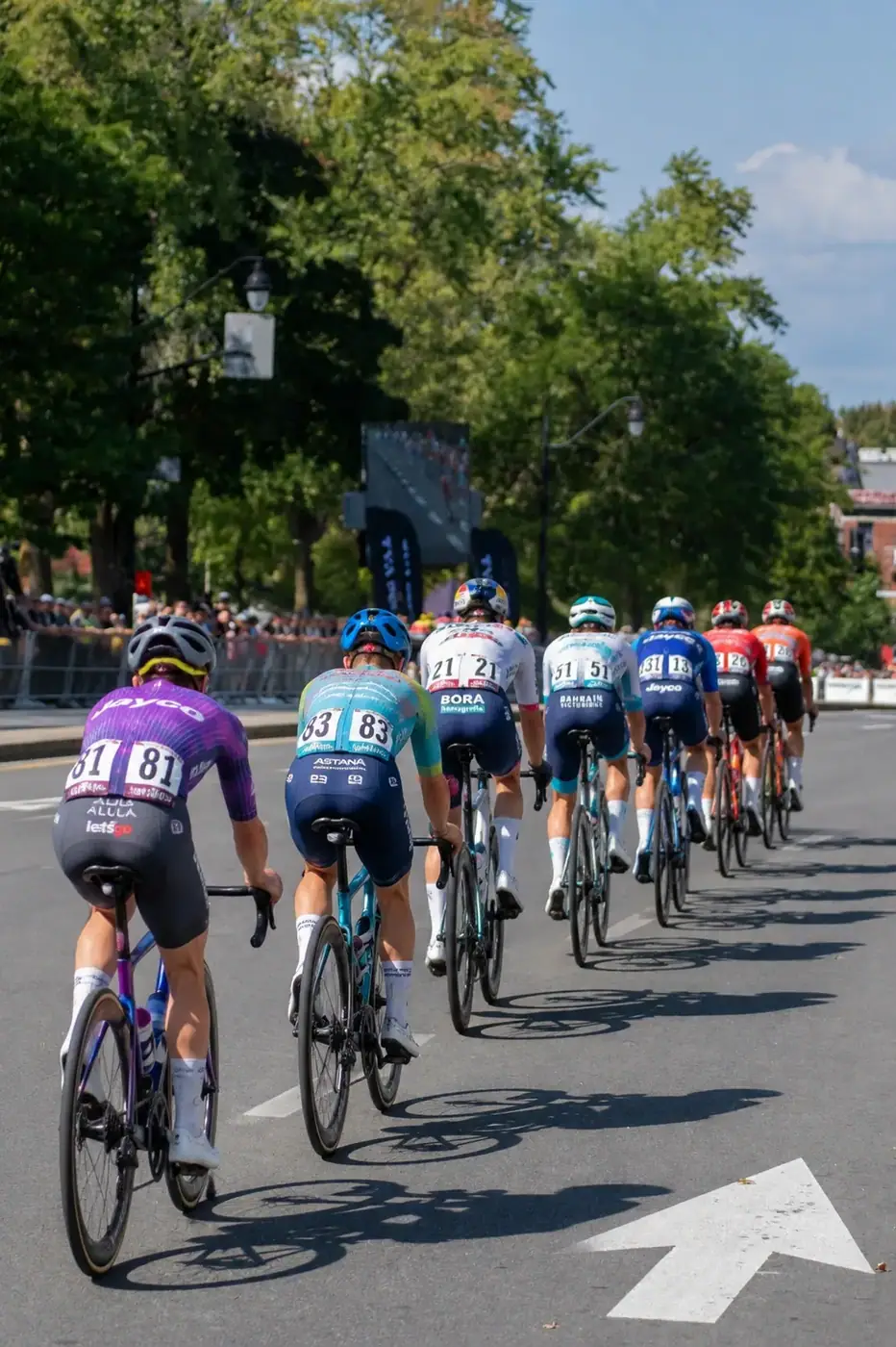 Cyclists riding together as part of a shared group activity